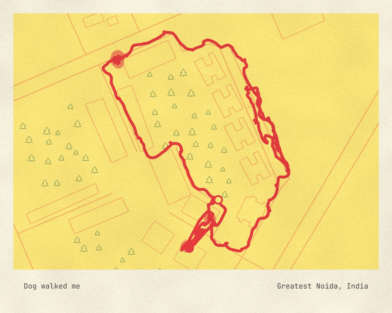 Postcard: Dog walked me